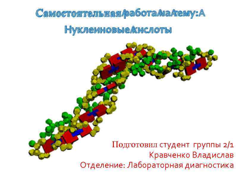 Самостоятельная работа на тему: Нуклеиновые кислоты Подготовил студент группы 2/1 Кравченко Владислав Отделение: Лабораторная