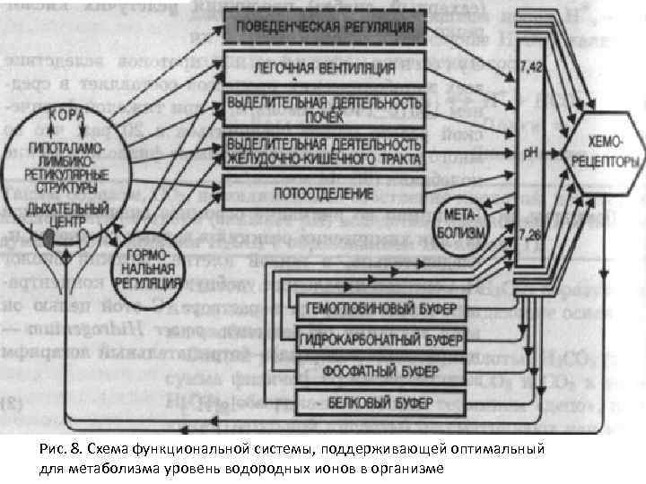 Схема фус восприятия боли