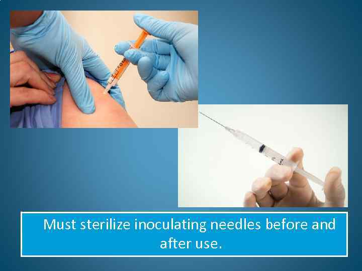  Must sterilize inoculating needles before and after use. 