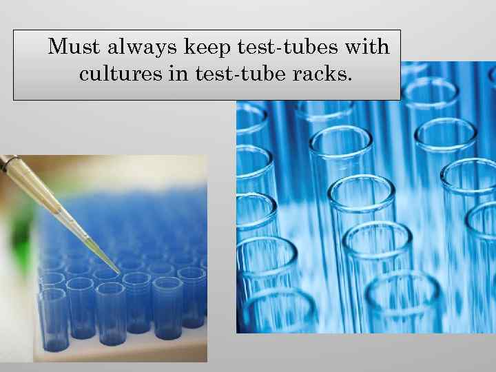 Must always keep test-tubes with cultures in test-tube racks. 