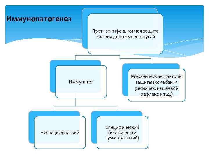 Иммунопатогенез Противоинфекционная защита нижних дыхательных путей Иммунитет Неспецифический Механические факторы защиты (колебания ресничек, кашлевой