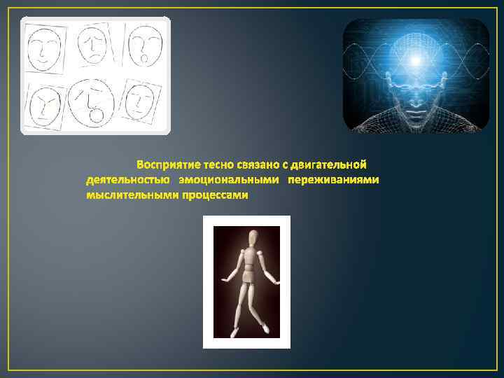 Восприятие тесно связано с двигательной деятельностью эмоциональными переживаниями мыслительными процессами 