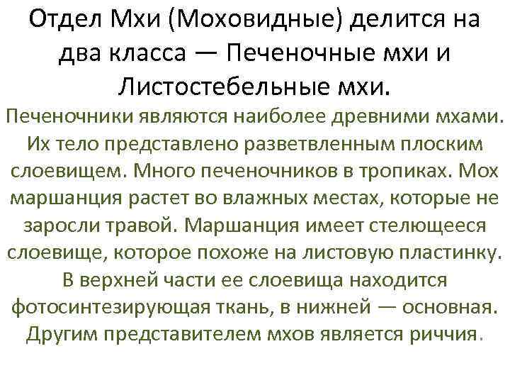 Отдел Мхи (Моховидные) делится на два класса — Печеночные мхи и Листостебельные мхи. Печеночники