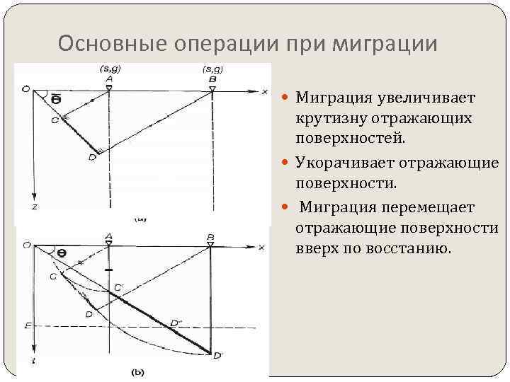 Основные операции при миграции Миграция увеличивает крутизну отражающих поверхностей. Укорачивает отражающие поверхности. Миграция перемещает