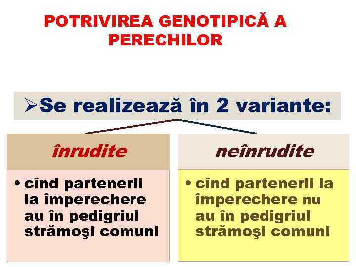 POTRIVIREA GENOTIPICĂ A PERECHILOR ØSe realizează în 2 variante: înrudite neînrudite • cînd partenerii