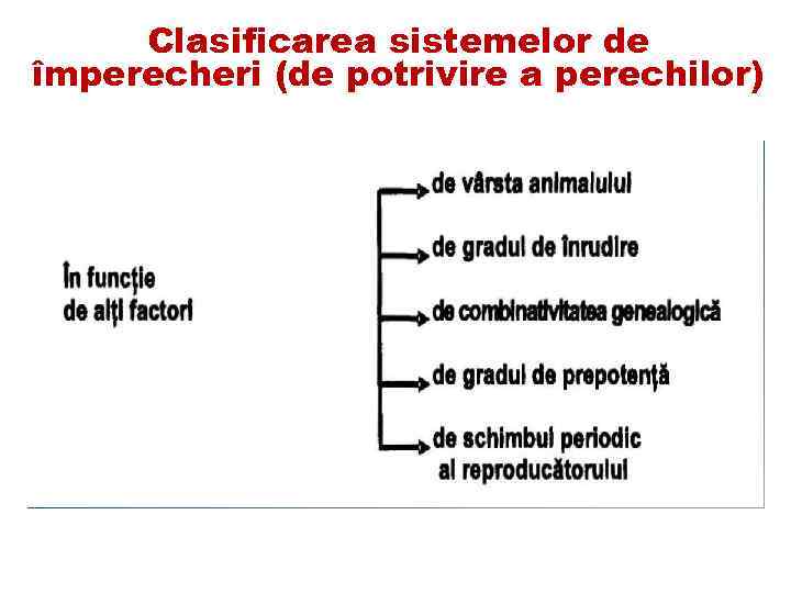 Clasificarea sistemelor de împerecheri (de potrivire a perechilor) 