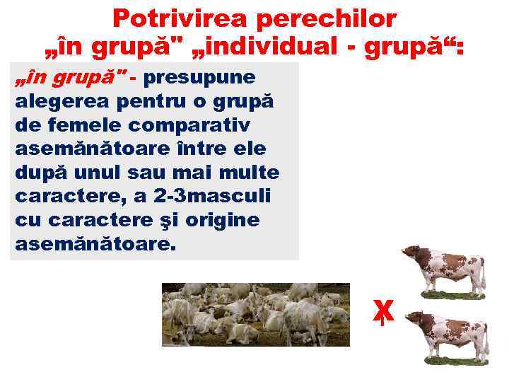 Potrivirea perechilor „în grupă" „individual grupă“: „în grupă" presupune alegerea pentru o grupă de