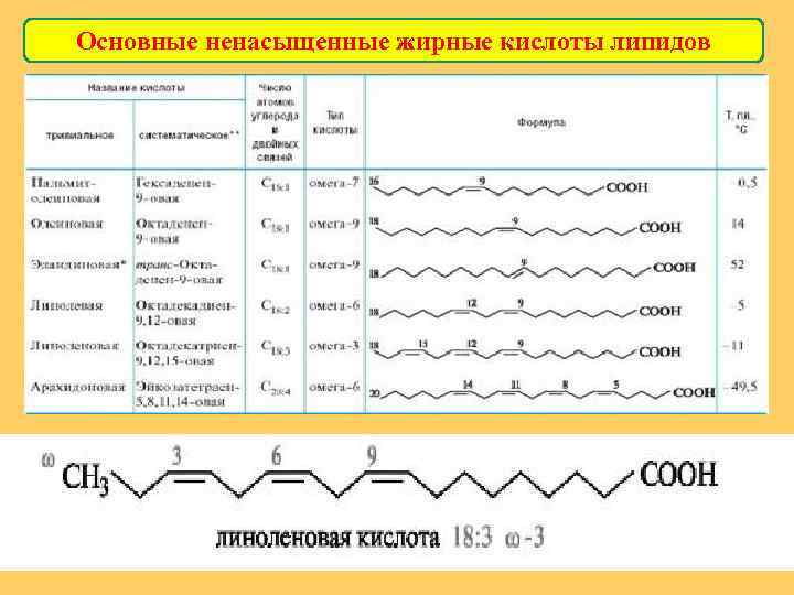 Основные ненасыщенные жирные кислоты липидов 