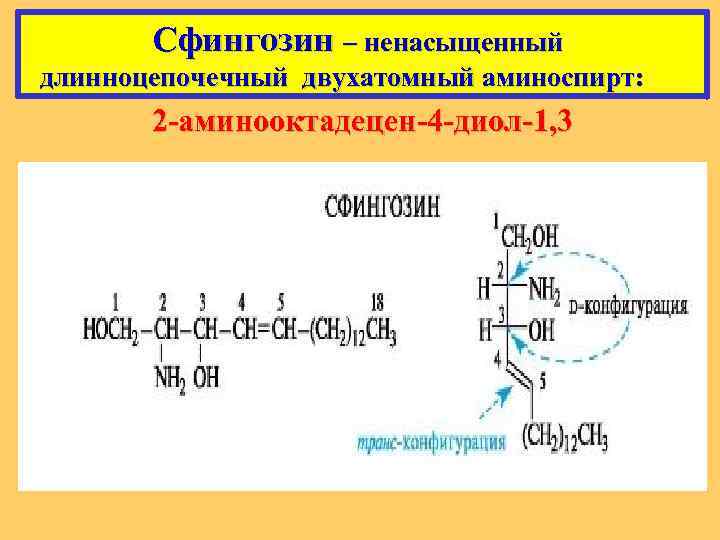  Сфингозин – ненасыщенный длинноцепочечный двухатомный аминоспирт: 2 -аминооктадецен-4 -диол-1, 3 