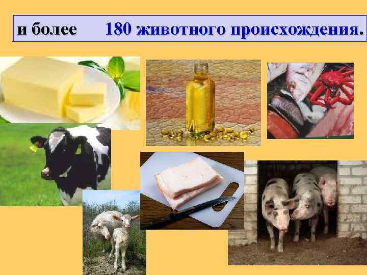 и более 180 животного происхождения. 