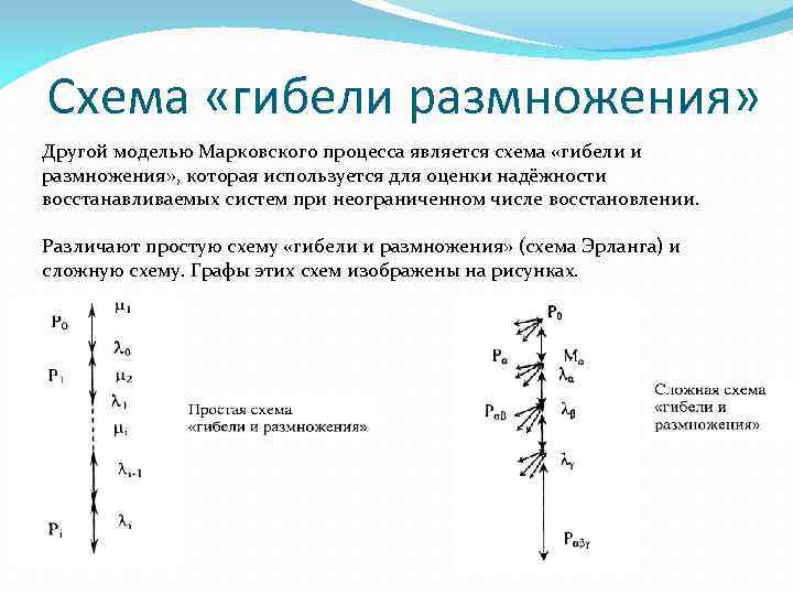 Схема гибели и размножения это