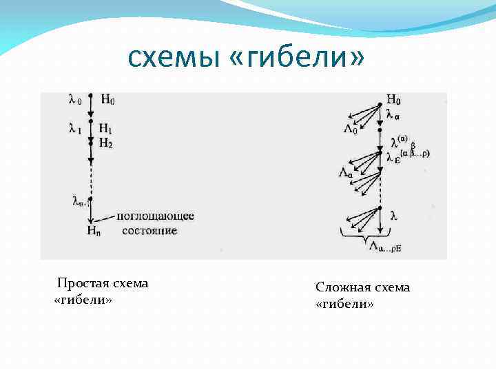 схемы «гибели» Простая схема «гибели» Сложная схема «гибели» 