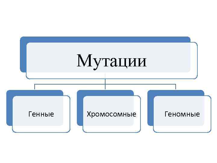 Мутагены картинки для презентации