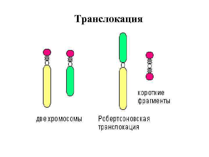 Нормой реакции называют пределы мутационной изменчивости