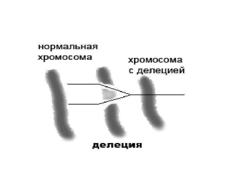 Изменение формы хромосом