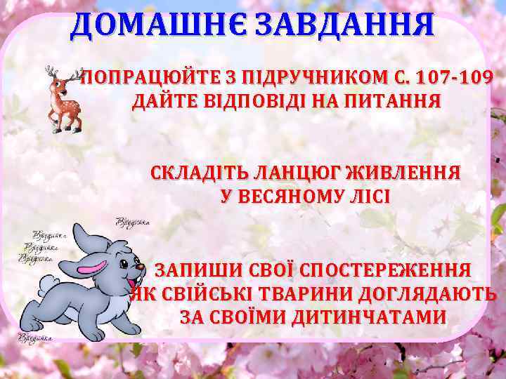 ДОМАШНЄ ЗАВДАННЯ ПОПРАЦЮЙТЕ З ПІДРУЧНИКОМ С. 107 -109 ДАЙТЕ ВІДПОВІДІ НА ПИТАННЯ СКЛАДІТЬ ЛАНЦЮГ