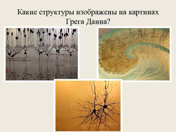 Какие структуры изображены на картинах Грега Данна? 