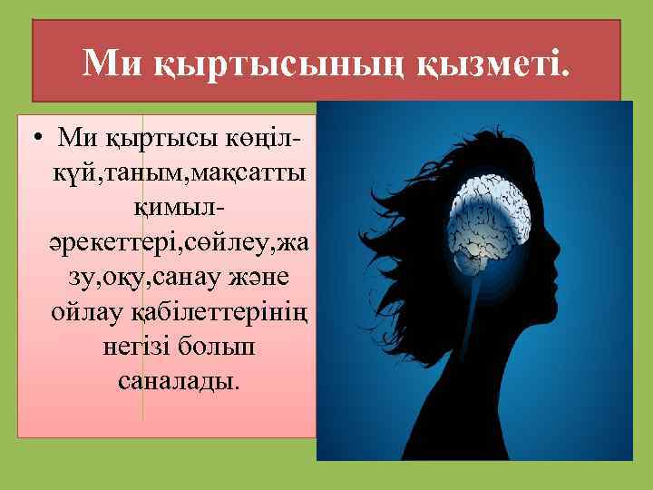 Ми қыртысының қызметі. • Ми қыртысы көңілкүй, таным, мақсатты қимыләрекеттері, сөйлеу, жа зу, оқу,