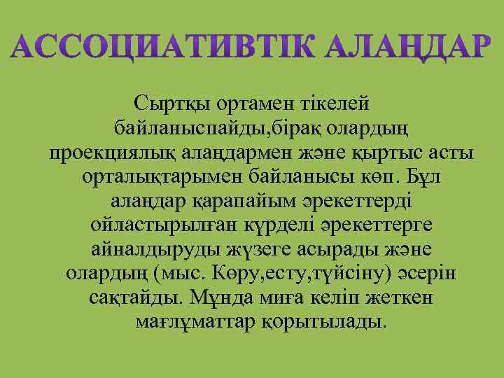 Сыртқы ортамен тікелей байланыспайды, бірақ олардың проекциялық алаңдармен және қыртыс асты орталықтарымен байланысы көп.