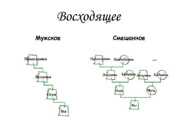 Родственные связи можно представить в виде схемы впр 4 класс