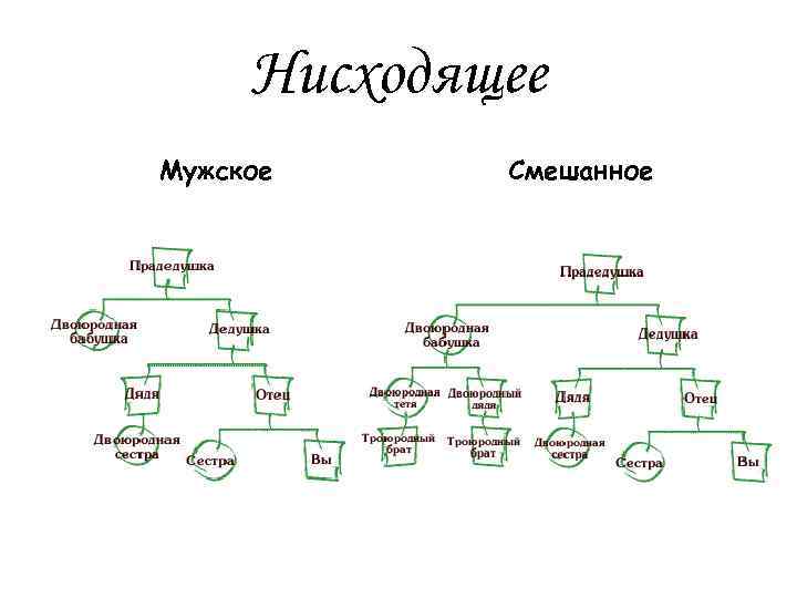 Семейное древо рассказ