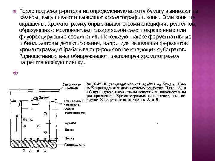  После подъема р-рителя на определенную высоту бумагу вынимают из камеры, высушивают и выявляют