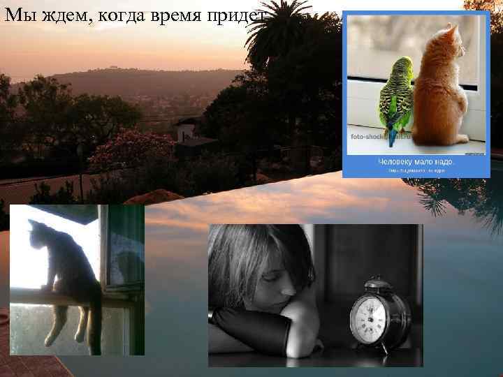 Мы ждем, когда время придет 