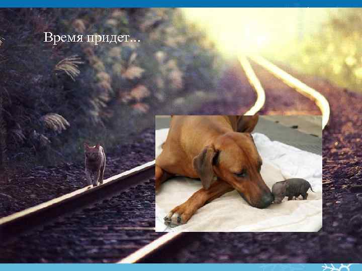 Время придет. . . 