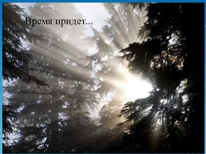 Время придет. . . 