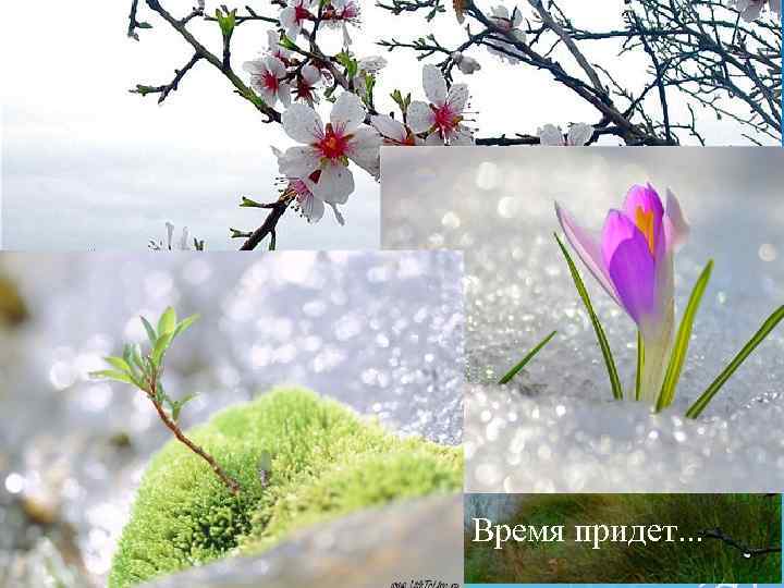 Время придет. . . 