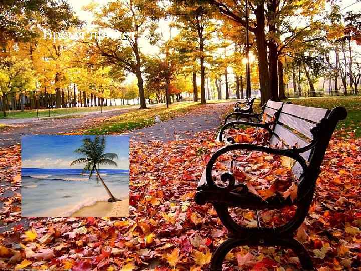 Время придет. . . 