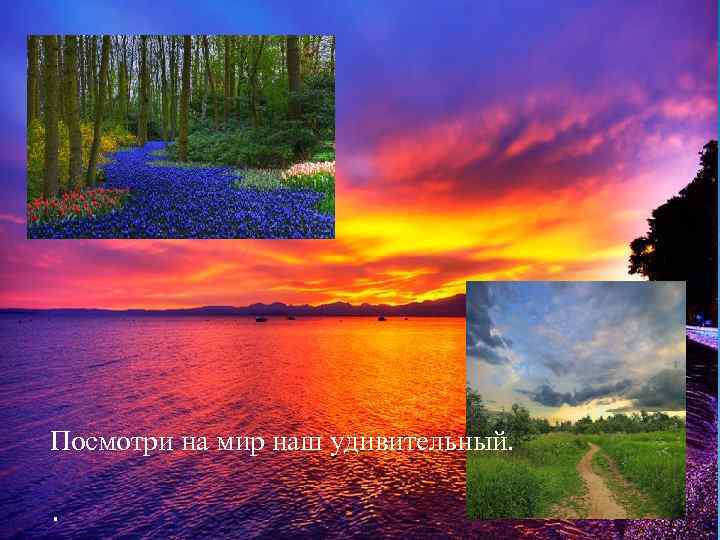 Посмотри на мир наш удивительный. . 