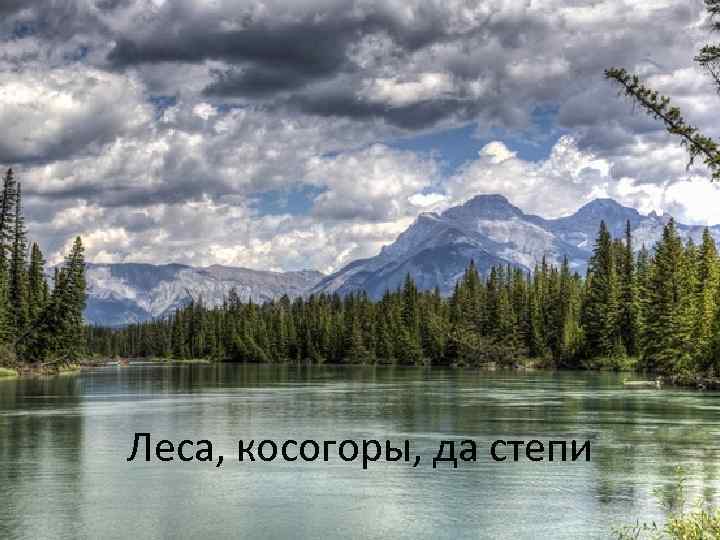 Леса, косогоры, да степи 