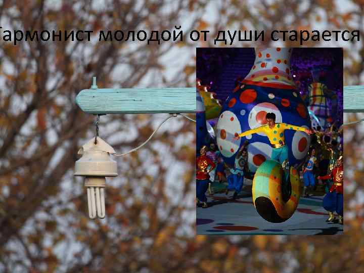 Гармонист молодой от души старается 