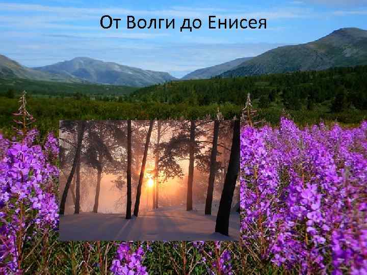 От Волги до Енисея 