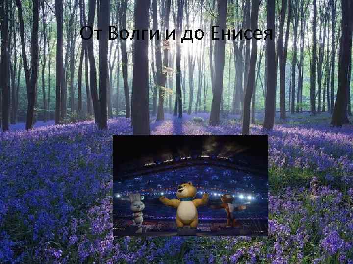 От Волги и до Енисея 