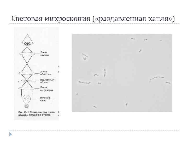 Перечислить методы микроскопии