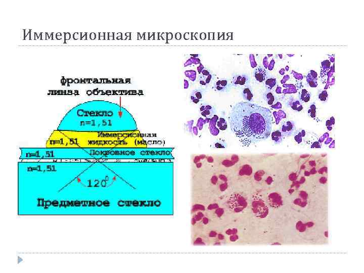 Суть метода микроскопии