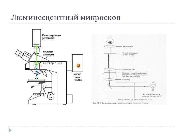 Схема работы микроскопа