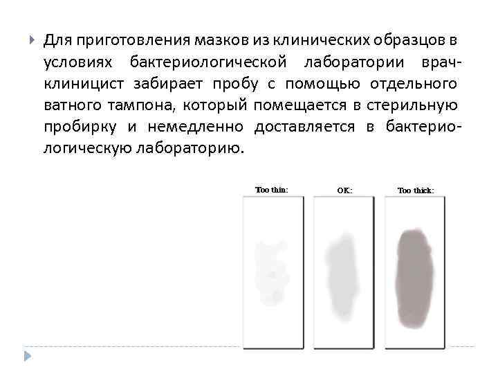  Для приготовления мазков из клинических образцов в условиях бактериологической лаборатории врачклиницист забирает пробу