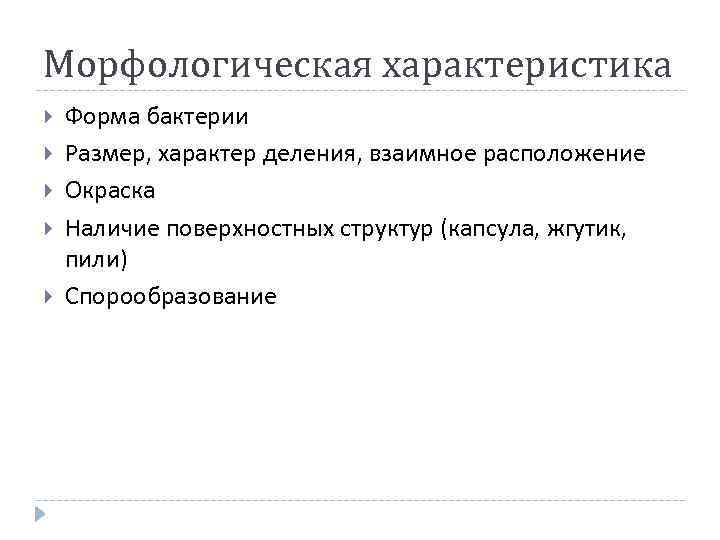 Морфологическая характеристика Форма бактерии Размер, характер деления, взаимное расположение Окраска Наличие поверхностных структур (капсула,