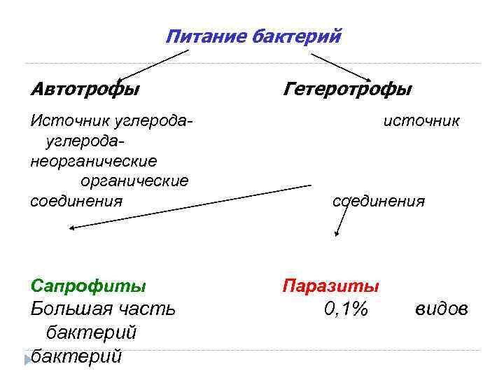 Питание автотрофов. Источник углерода для автотрофов. Бактериологический метод питание бактерий. Источник углерода для гетеротрофов. Фотоавтотрофы источник углерода.