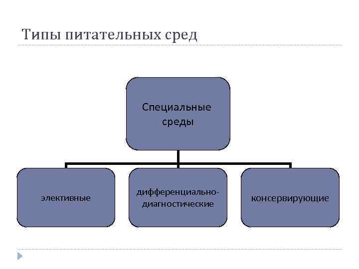 Специальные среды