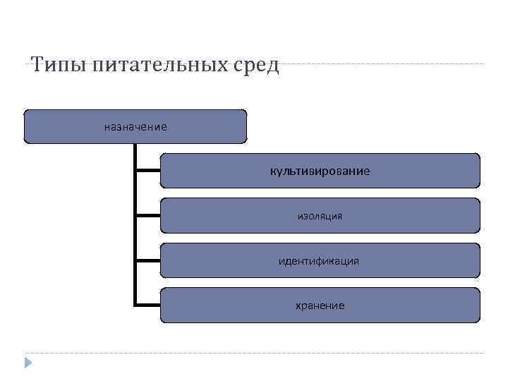 Типы питательных сред назначение культивирование изоляция идентификация хранение 