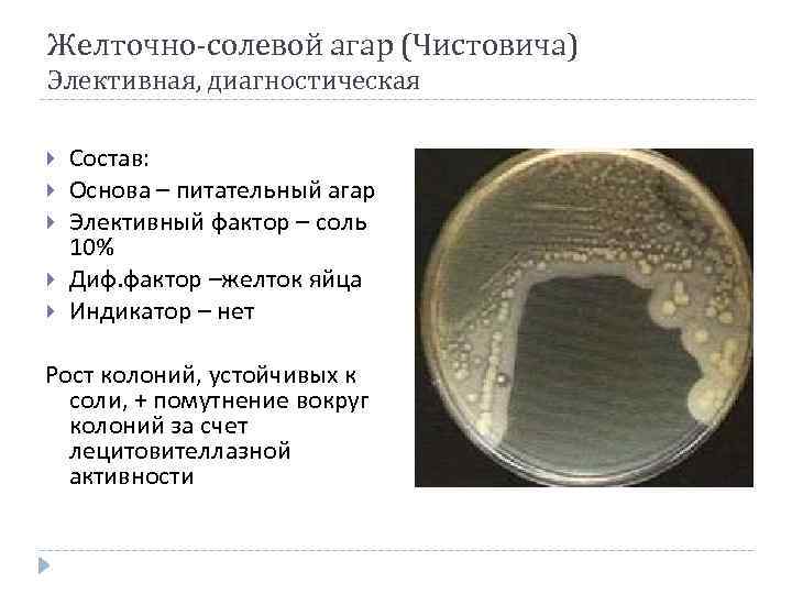 Желточно-солевой агар (Чистовича) Элективная, диагностическая Состав: Основа – питательный агар Элективный фактор – соль