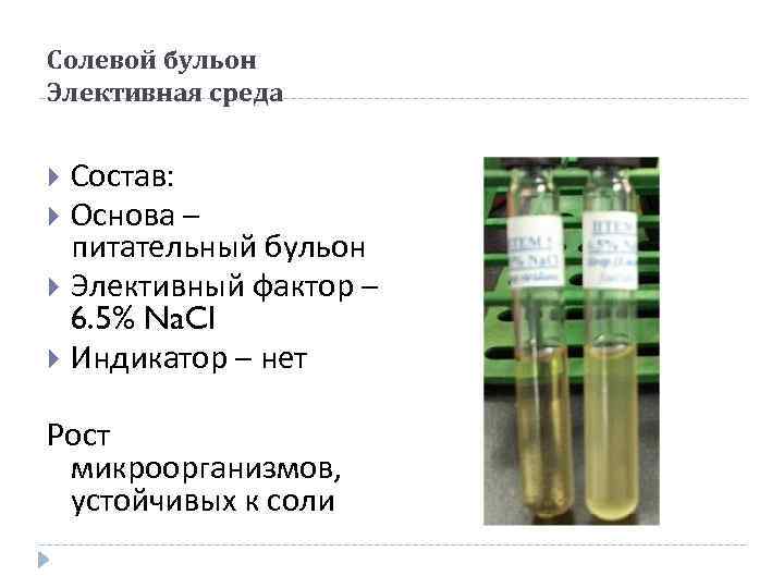 Бульон питательный биотехновация