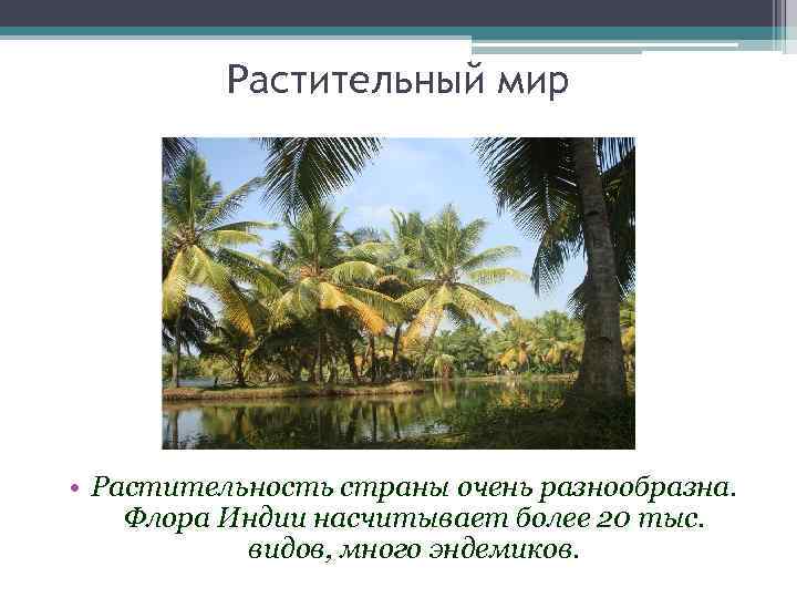 Растительный мир • Растительность страны очень разнообразна. Флора Индии насчитывает более 20 тыс. видов,
