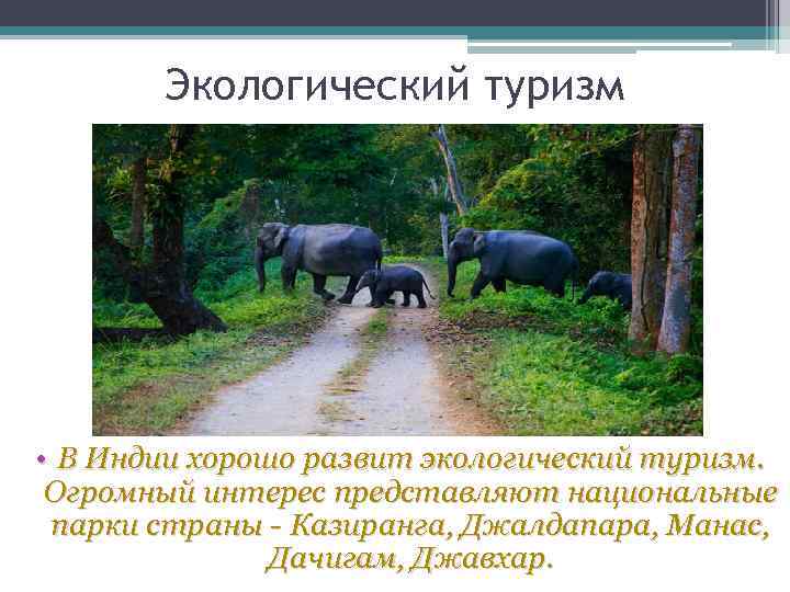 Экологический туризм • В Индии хорошо развит экологический туризм. Огромный интерес представляют национальные парки