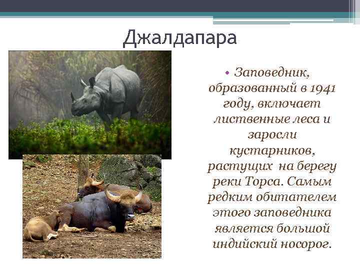 Джалдапара • Заповедник, образованный в 1941 году, включает лиственные леса и заросли кустарников, растущих