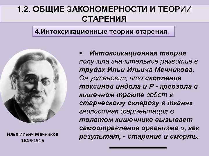 1. 2. ОБЩИЕ ЗАКОНОМЕРНОСТИ И ТЕОРИИ СТАРЕНИЯ 4. Интоксикационные теории старения. Илья Ильич Мечников